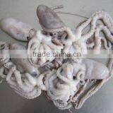 Frozen Octopus BQF Octopus Of Various Sizes thumbnail-2