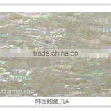 Korea Balone (Paua) White Selection Shell Paper