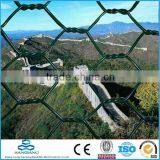 Anping PVC Coated Hexagnal Wire Mesh