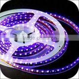 3528 led strip light in dimmers