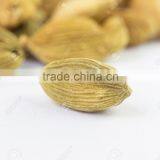 Wholesale Green Cardamom 8 MM thumbnail-2