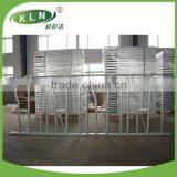 Cow Head - Lock for Dairy Farm thumbnail-1