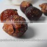 Sapindus Mukorossi / Soap Nut Pods / Soap Nut Powder thumbnail-2