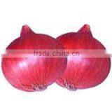 Indian Fresh Onion thumbnail-1