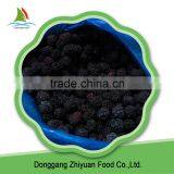 Frozen Blackberry thumbnail-4