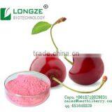 Acerola Cherry Fruit Powder West Indian Cherry Powder With VC Reaching 25% by Solvent Metnod
