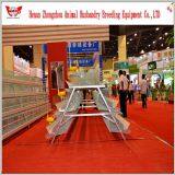 Hot Selling Good Quality Automatic Chicken Egg Layer Cage thumbnail-3