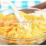 New Product Environmental 2016 Corn Flake Machine thumbnail-5
