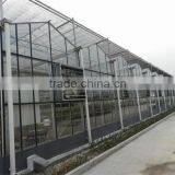 High-tech Glass Greenhouse With Vent System And Heating Solar System thumbnail-5