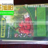 PE Agricultural Plastic Greenhouses Film Kit Tunnel for Vegetable Used in Garden thumbnail-3