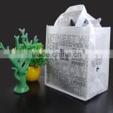 Biodegradable Personalized Printied Carry Bags thumbnail-1