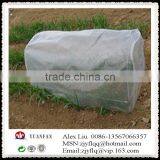 Crop Cover Non Woven Fabric , Plant Cover Non Woven Fabric thumbnail-4