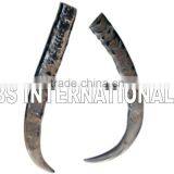 Ox White Drinking Horns thumbnail-6