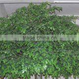 SJ11 Artificial Banyan Tree Manufacturer in Guangzhou thumbnail-4