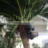 GNW APM022 Mini Artificial Coconut Palm Tree Sale for Outdoor Garden Decoration thumbnail-2