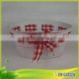 Newgarden Popular Colorful Customized Size Orchid Flower Pot thumbnail-4