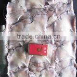 Frozen Gaint Sqiud Wing thumbnail-3