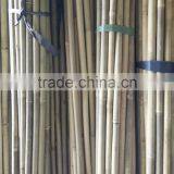Raw Bamboo Poles Wholesale for Construction thumbnail-2