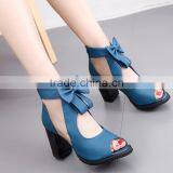 Zm50269b 2017 Spring and Summer New Style Lady Chunky Heels Sandal Bowknot Sandals Shoes Women thumbnail-4