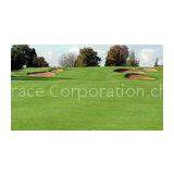 6300Dtex Field Green Golf Playground Yarn 10mm,Gauge 1/5 Golf Artificial Grass thumbnail-1