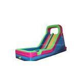 CQ88828 Inflatable Large Double Water Slide