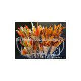 Bamboo Leaves Gift thumbnail-1