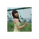 Chian Link Mesh