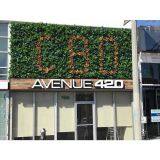 Artificial Plant Wall thumbnail-3