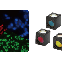 Inverted Fluorescence Microscope MF53-N thumbnail-3