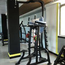 Fitness Tree Commercial Gym Equipment Vertical Leg Raise Machine thumbnail-4