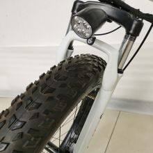 21speed 26inch Fat Tire Electric Bike Aluminum Alloy E-bike thumbnail-4