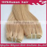 Alibaba 70 300g excellent Brazilian remy Pu skin weft hair extension