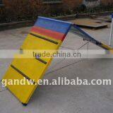 Dog Agility Min A Frame Made of Steel