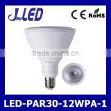 New PAR30 Led Spot Light 12W