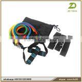 11PCS Resistance Bands, Exercise Bands, Yoga Bands ZDS2008 Quality Choice thumbnail-1