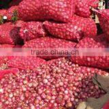 FRESH CLASS 1 RED,YELLOW AND WHITE ONION FROM SOUTH AFRICA thumbnail-1