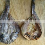 dried brown croaker fish sale