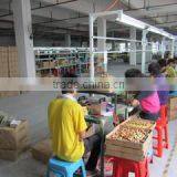 Guangzhou Deen Electronic Co., Ltd. company overview - view 3 thumbnail