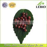 New Crop Hot Sale Red Beans Adzuki Beans Dried Style