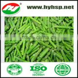 Green Asparagus IQF Frozen Asparagus With BRC HACCP HALAL Certificate
