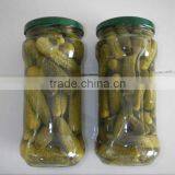 China High Quality Canned Pickled Cucumber thumbnail-1