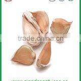 Jinxiang Garlic Contact me thumbnail-1