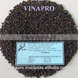 VIETNAM BLACK PEPPER FAQ 500GL LATEST RATE