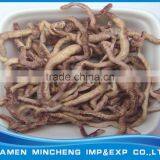 Freeze Dried Earthworm thumbnail-1