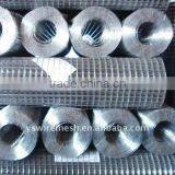 Galvanized Wire Welded Mesh/welded Mesh Screen/welded Steel Mesh Fence