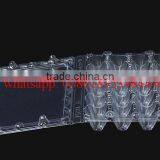 24 Holes Rectangular Clear Transparent Plastic Quail Egg Cartons, Plastic Quail Packing Tray 24eggs thumbnail-4