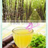 NEWEEK Stainless Steel Commercial Hand Use Sugarcane Juicing Machine thumbnail-5