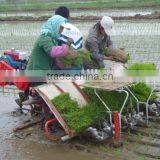 Mechanical Rice Seeder thumbnail-3