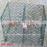 PVC Coated Hexagonal Chicken Wire Mesh(factory ) thumbnail-1