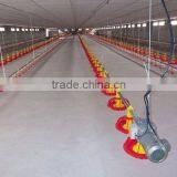 Poultry Control Shed Equipment for Breeder thumbnail-3